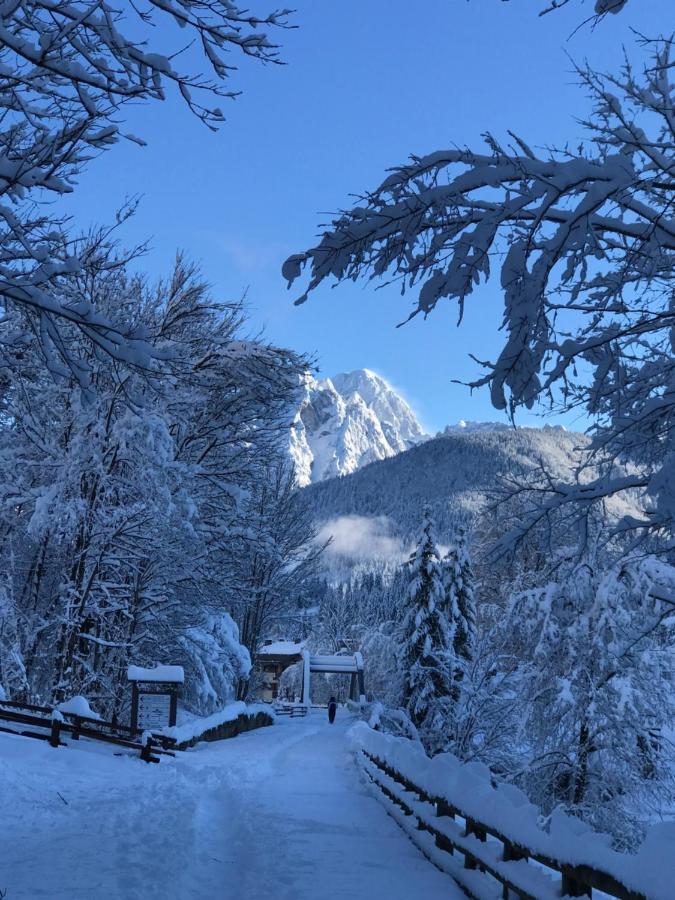A Casa Di Lety Hotel Tarvisio Exterior photo